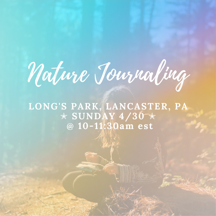 Nature Journaling in the Park
