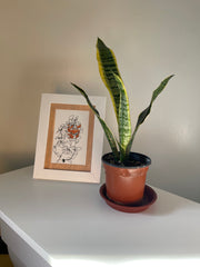 wandering tradescantia zebrina: ink/acrylic contour original (5"x7" framed)