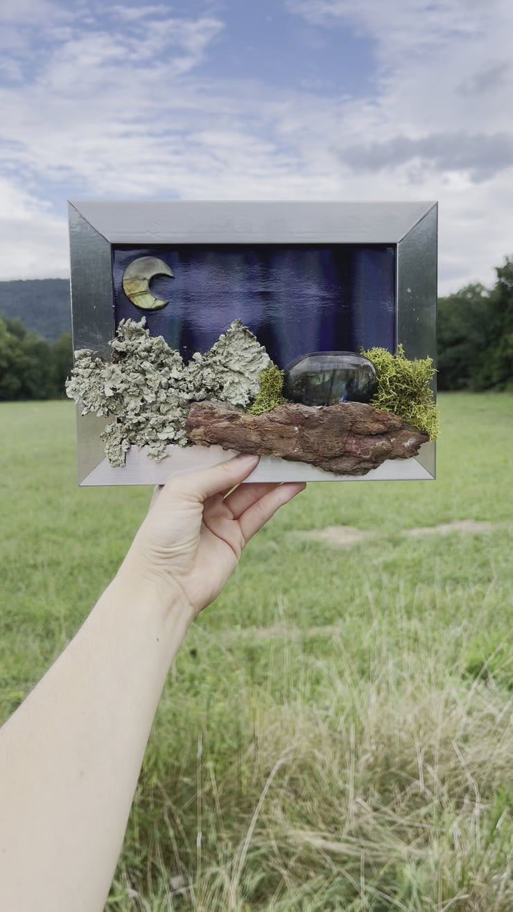NORTHERN LIGHTS Mini Moss Wall (framed) | Labradorite Crystal | Moon | Aurora Borealis | Inuit Legend | Inner Light Botanicals | www.innerlightbotanicals.com