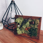 AUTUMN EQUINOX Mini Moss Wall (framed)