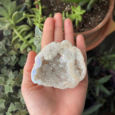 Inner Light Botanicals online crystal shop Angel Aura Quartz Geode Crystal