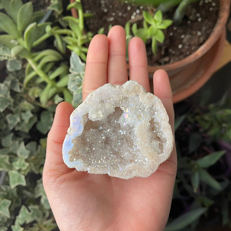 Inner Light Botanicals online crystal shop Angel Aura Quartz Geode Crystal