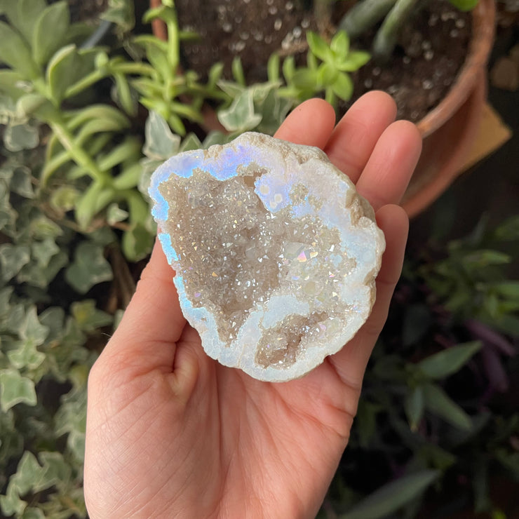 Inner Light Botanicals online crystal shop Angel Aura Quartz Geode Crystal