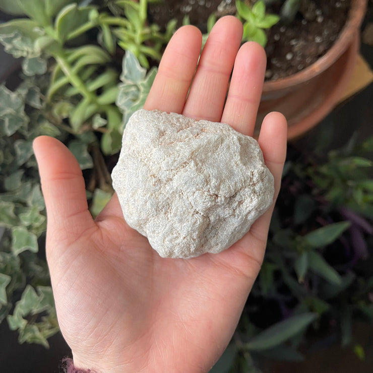Inner Light Botanicals online crystal shop Angel Aura Quartz Geode Crystal
