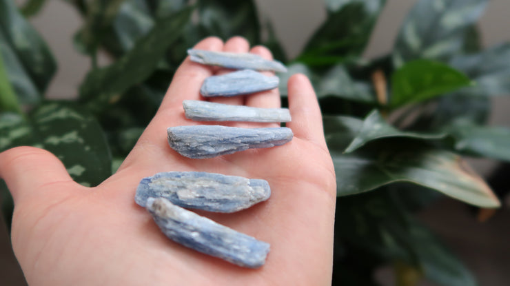 Inner Light Botanicals online crystal shop Blue Kyanite