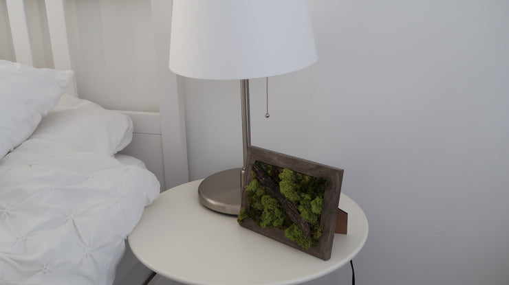 FOLKLORE Mini Moss Wall (framed)