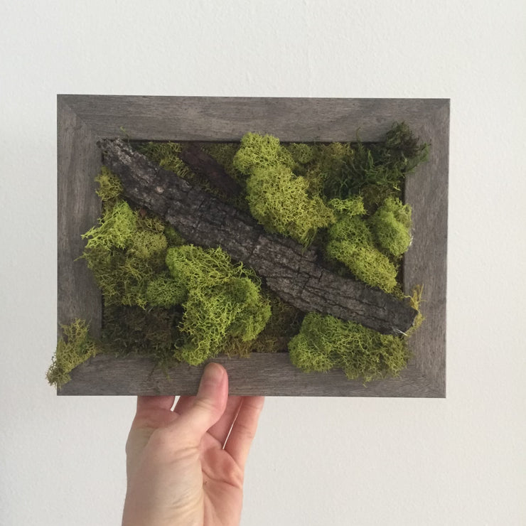 FOLKLOREMiniMossWall_framed