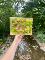 SUMMER SOLSTICE Mini Moss Wall (framed) | Citrine Crystal | Sunshine | Good vibes | Inner Light Botanicals | www.innerlightbotanicals.com
