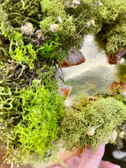 SUMMER SOLSTICE Mini Moss Wall (framed) | Citrine Crystal | Sunshine | Good vibes | Inner Light Botanicals | www.innerlightbotanicals.com