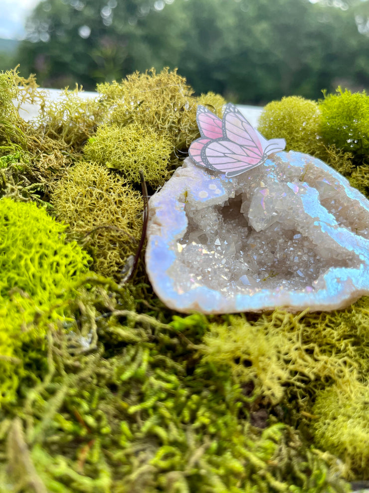 CHRYSALIS Mini Moss Wall (framed) | Angel Aura Quartz Crystal | Monarch Butterfly | Stars | Inner Light Botanicals | www.innerlightbotanicals.com