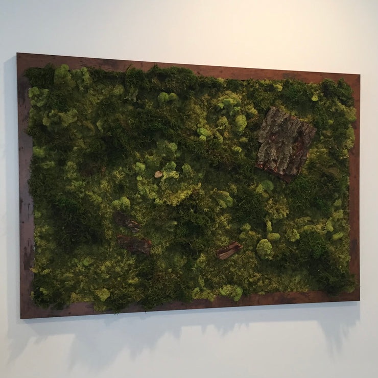 Commission Your Own Moss Wall