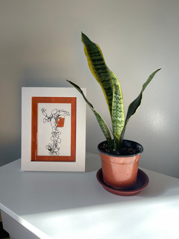 teardrop ivy: ink/acrylic contour original (5"x7" framed)