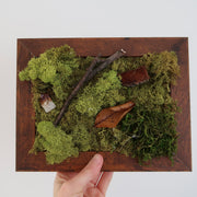 AUTUMN EQUINOX Mini Moss Wall (framed)