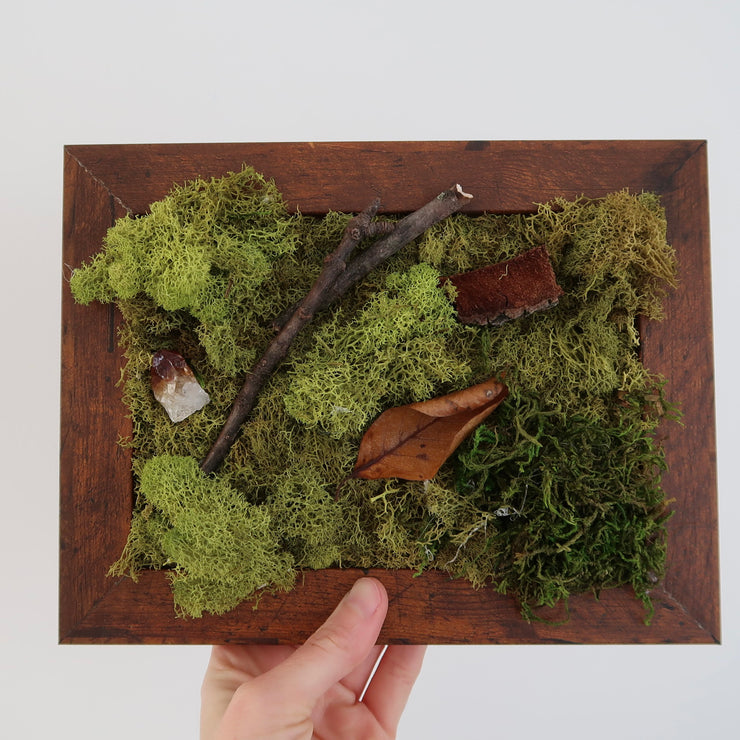 AUTUMN EQUINOX Mini Moss Wall (framed)