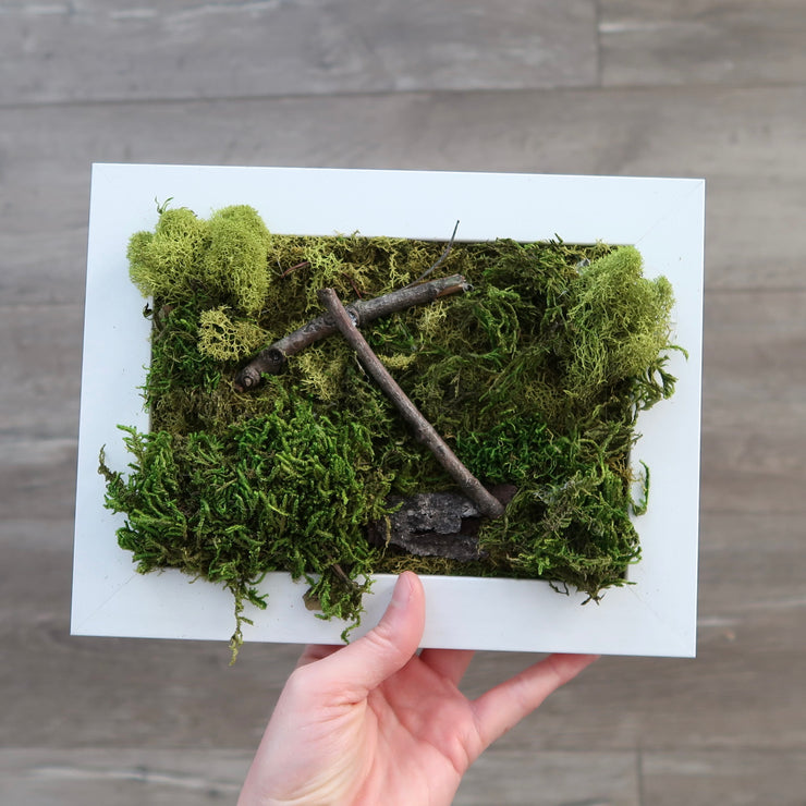 CELESTIALminimosswall