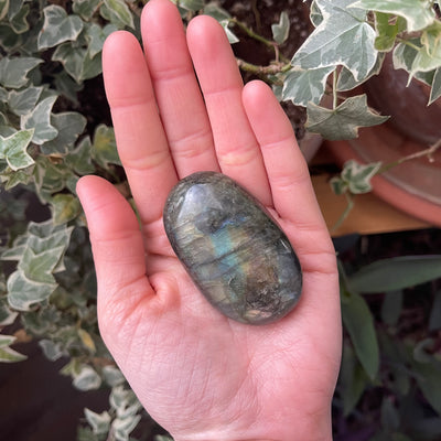 Inner Light Botanicals online crystal shop Labradorite Palm Stone Crystal
