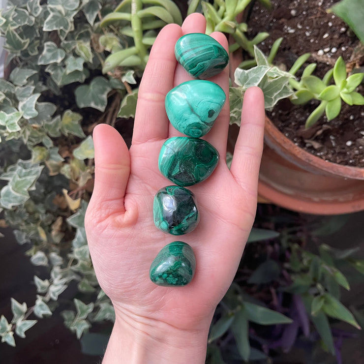 Inner Light Botanicals online crystal shop Malachite Crystal