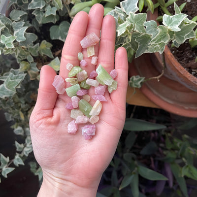 Inner Light Botanicals online crystal shop Watermelon Bicolor Tourmaline Crystal