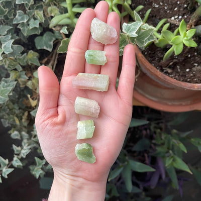 Inner Light Botanicals online crystal shop Watermelon Bicolor Tourmaline Crystal