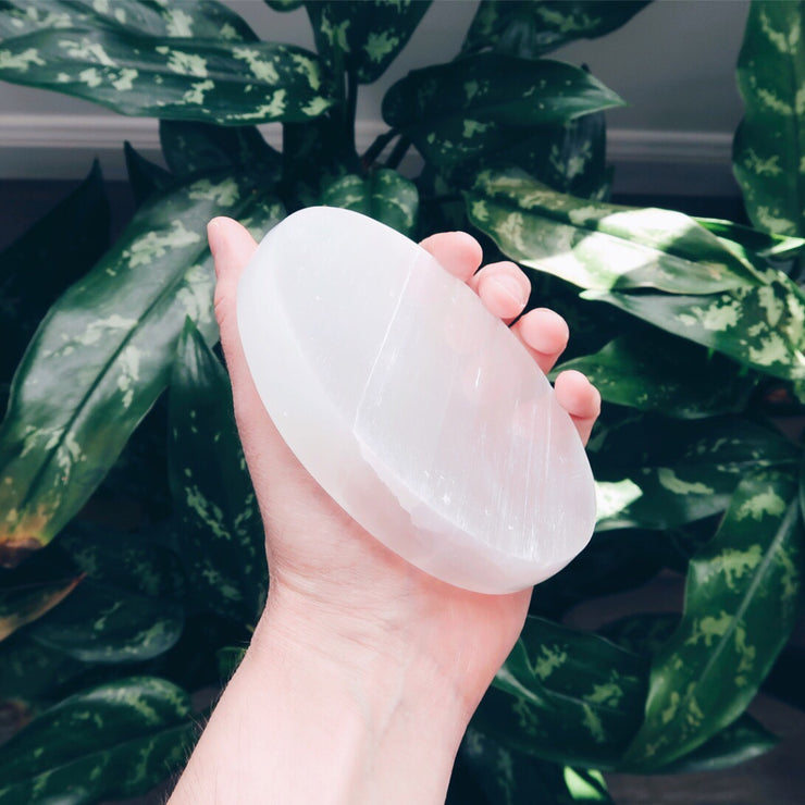 Inner Light Botanicals Selenite Charging Plate Large crystal